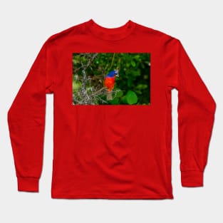Colorful Painted Bunting -Painterly Long Sleeve T-Shirt